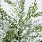 Pre-Lit Faux Snowy Cypress Tree (18")