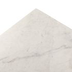 Michael Marble Coffee Table (55")