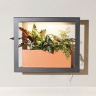 Modern Sprout Smart Matte Growframe