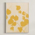 Botanica by Minted for West Elm