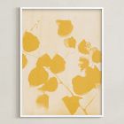 Botanica by Minted for West Elm