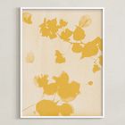 Botanica by Minted for West Elm