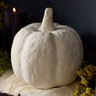 Shape Studies Ceramic Pumpkins