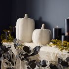 Shape Studies Ceramic Pumpkins