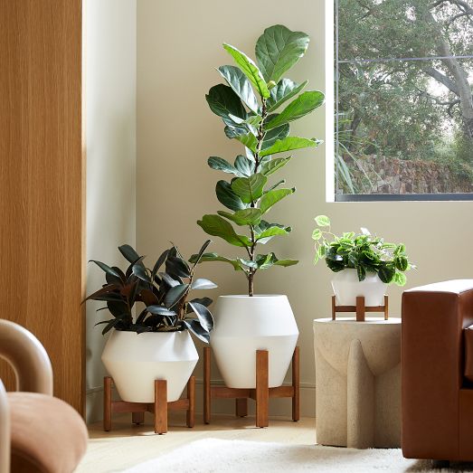 Ilya Turned Wood Planters | West Elm