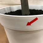 Open Box: Faux Potted Quince Leaf Tree (6')