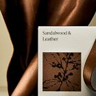 West Elm Homescent Single Wick Candle - Sandalwood &amp; Leather