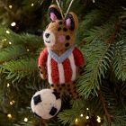 Animals Doing Things Ornaments