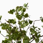 Faux Potted Wire Netting Bush Plant