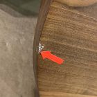 Open Box: Neve Nightstand (18") - Cool Walnut