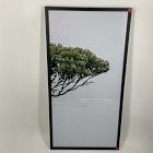 Open Box: Tree of Life Framed Wall Art, Right by Michael Schauer (20"W x 40"H) - Black Frame