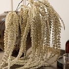 Gold Sparkle Amaranthus Branch