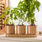 Bodie Planter Collection