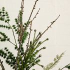 Faux Mixed Pine Stem Bundle