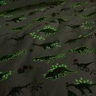 Glow-in-the-Dark Christmas Dino Cotton Sheet Set