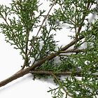 Faux Juniper Pine Cone Branch