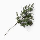 Faux Juniper Pine Cone Branch