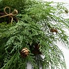 Faux Juniper Pine Cone Wreaths (Set of 3)