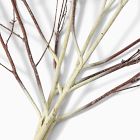 Faux Ombre Branch