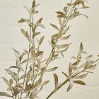 Faux White Olive Branch
