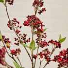 Faux Petite Red Berry Collection