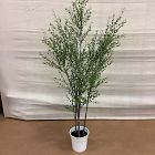Open Box: Faux Potted Grass Tree (5'H)