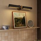 Cole Picture Light (23")