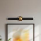 Cole Picture Light (23")