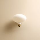 Tala R51 6W 2700K E26 Oval Lightbulb (Set of 2)