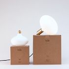 Tala R51 6W 2700K E26 Oval Lightbulb (Set of 2)