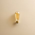 Tala ST20 3W 2200K E26 Squirrel Cage Lightbulb (Set of 6)