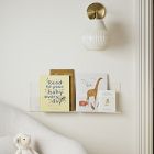 Acrylic Ledge Shelf (24" &ndash; 36")