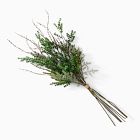 Faux Mixed Pine Stem Bundle