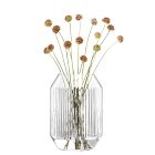Rotunda Glass Vase