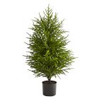 Faux Potted Norfolk Island Pine Tree