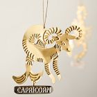 Metal Zodiac Ornament - Capricorn