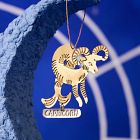 Metal Zodiac Ornament - Capricorn
