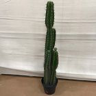 Open Box: Faux Potted Cactus Plant (54"H) - Green, White