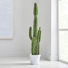 Open Box: Faux Potted Cactus Plant (54"H) - Green, White