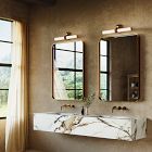 Ledger Vanity Light (20")