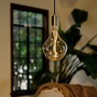 Tala A52 3W 2200K E26 Voronoi II Tinted Lightbulb