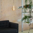 Tala A52 3W 2200K E26 Voronoi II Tinted Lightbulb