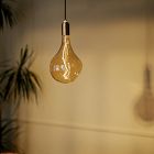 Tala A52 3W 2200K E26 Voronoi II Tinted Lightbulb