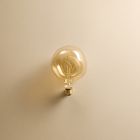 Tala G39 2W 2200K E26 Voronoi I Lightbulb Sets