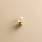 LED Tala G14 3W 2700K E26 Pluto Lightbulb (Set of 10)