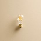Tala A19 6W 2000&ndash;3000K E26 Matte Lightbulb (Set of 8)
