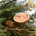 Faux Orange Stem Bundle