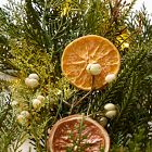 Faux Citrus Garden Collection