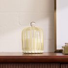 Striped Cloche Candles - Slopeside Pine