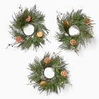 Faux Winter Citrus Wreath (Set of 3)